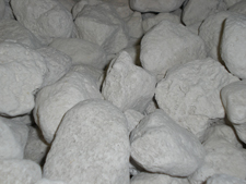 Pumice stone for use in bioscrubbers